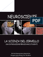 Scienza Del Cervello