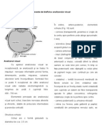 Curs 8 - Elemente de Optica Biologica