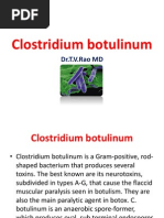 Download Clostridium  botulinum by doctorrao SN129546599 doc pdf