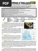 Download Sunder Bans Bangladesh by mmrrashed SN12955093 doc pdf