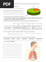 ficha avaliação 6º ano - ar e Sistema respiratório.pdf