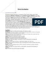 Flower Dissection Investigation Packet 