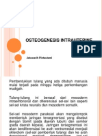 Osteogenesis Intrauterine