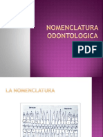 nomenclaturaodontologica-120528175015-phpapp02