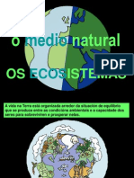 Eco Sistem As