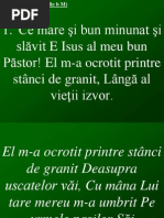 010-Ce mare si bun