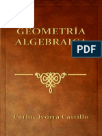 Geometría Algebraica