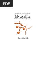 Nutrient Use Efficiency in Plants | PDF | Soil | Photosynthesis