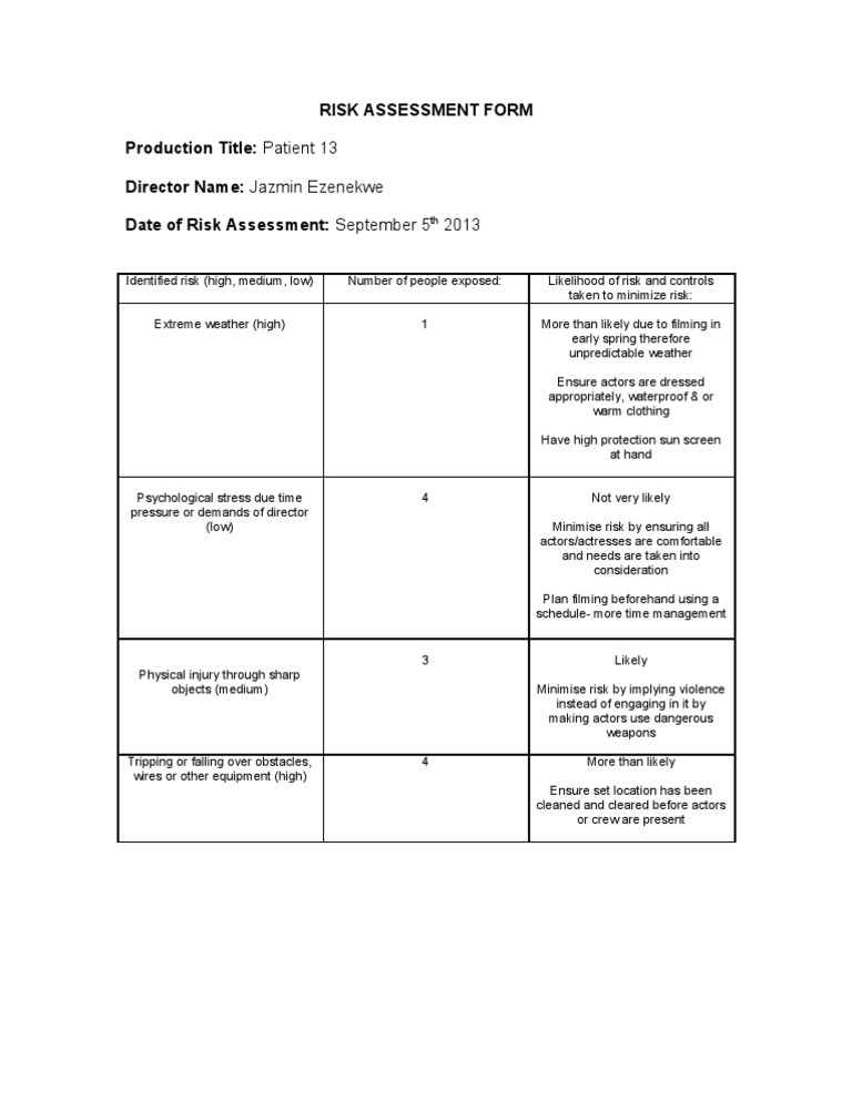Patient 13 Risk Assessment Overview | PDF | Science & Mathematics