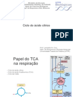 BQ005-CicloDoAcidoTricarboxilico