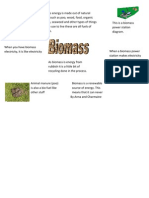 Microsoft Word - Biomass