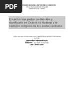 ! El Cactus San Pedro Tesis Feldman.gracia