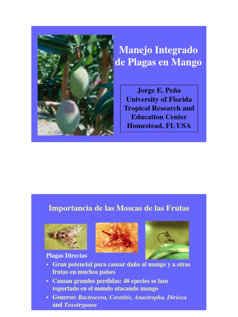 649manejo-integrado-plagas-mango-jepena-florida-pdf-mosca-feromona