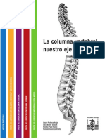 Columna Vertebral, Eje Vital