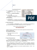 Fonología y Grupos Silábicos