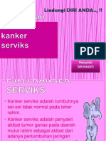 Serviks Ok