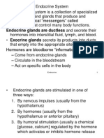 Endocrine Handouts