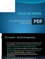 1-CICLODEKREBS