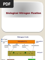 Download biological nitrogen fixation by Ram Nivas Ahirwar SN12969302 doc pdf