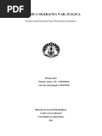 Download BrassicaOleracea by Gilang Hamzah SN129696576 doc pdf