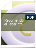 Oliva Radiografia Del Proceso 2012 PDF