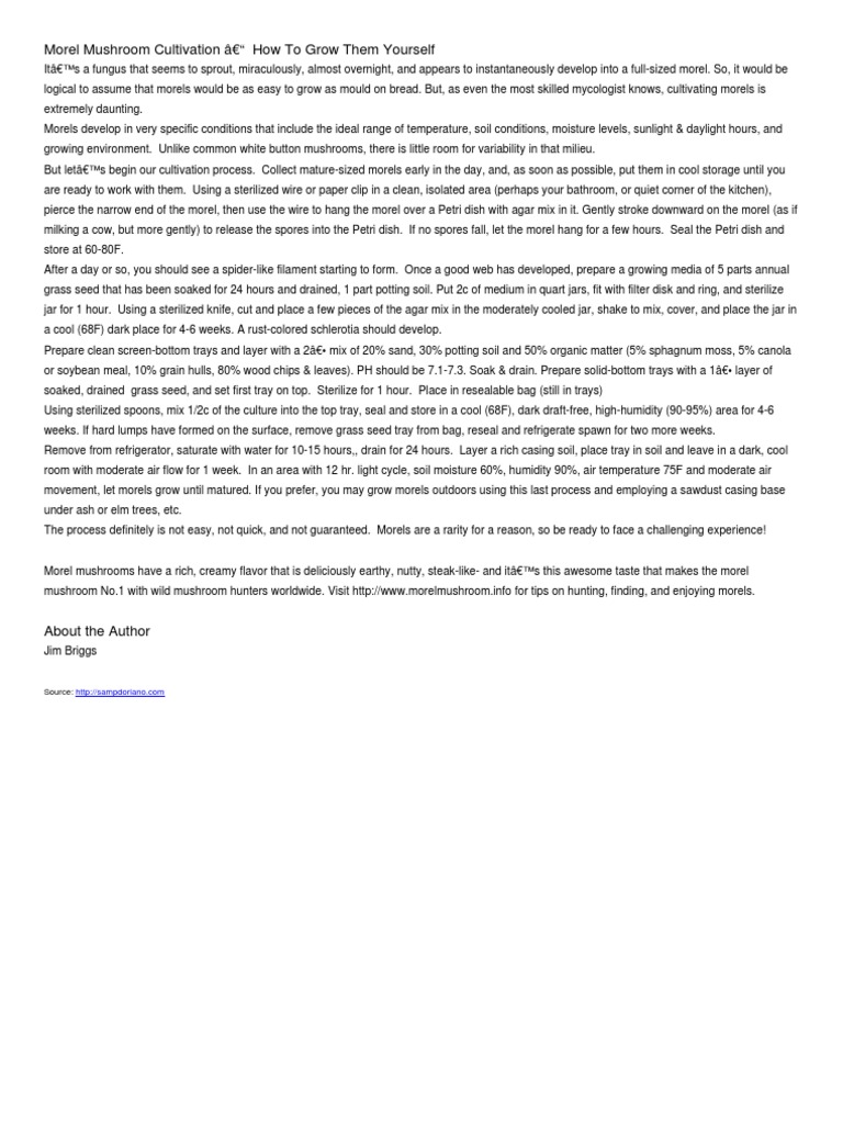 Morel Cultivation PDF Mushroom Soil