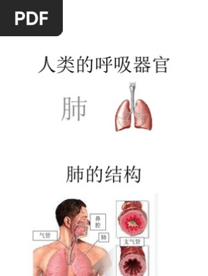 人类的呼吸器官 Pdf