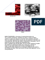 Types of Blood Components Used in Transfusions