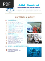 Download International Inspection Surveyors  Testing Services by AIM Control Inspection group SN12976064 doc pdf