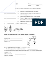 RNA and Protein Synthesis Quiz