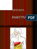 digestie