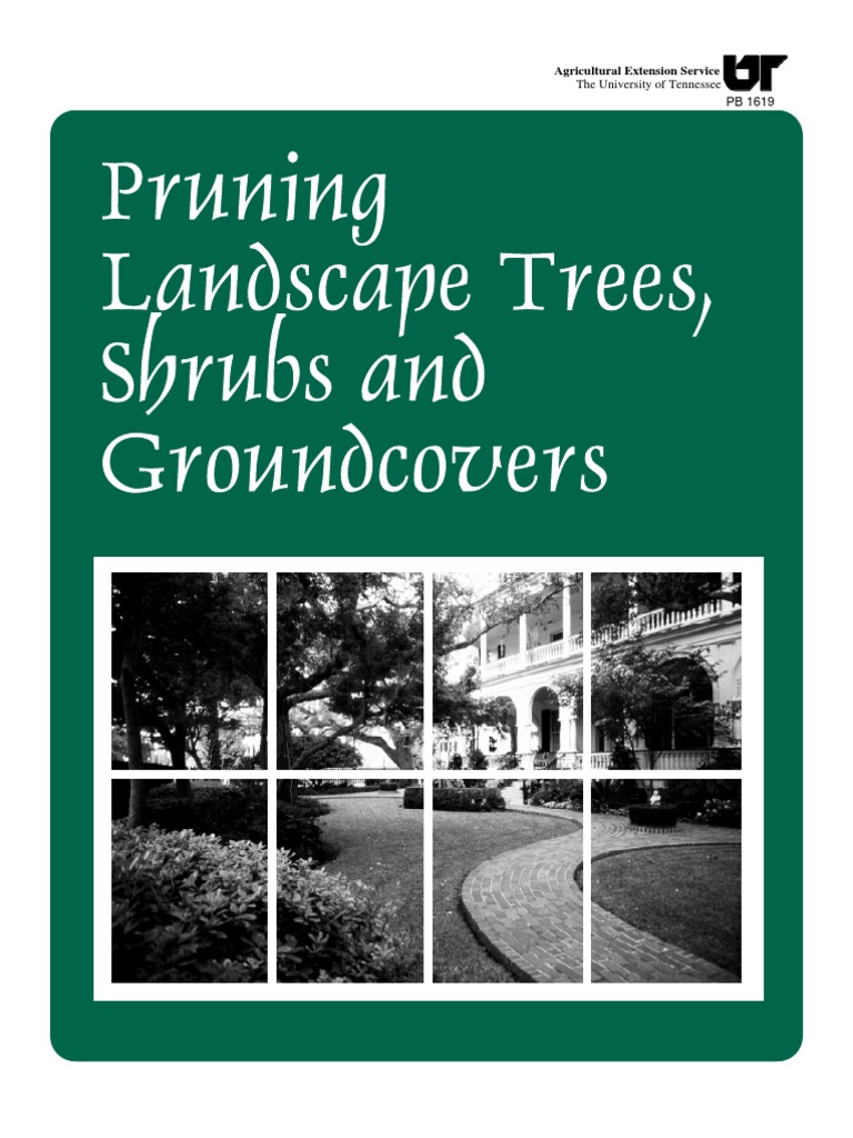 Pruning Landscape Trees, Shrubs and Groundcovers | PDF