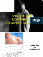 cintura escapular. biomecanica.ppt