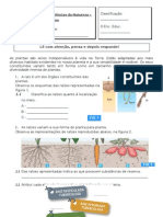 Avaliação de Ciências da Natureza sobre Plantas