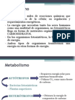 Presentacion Metabolismo