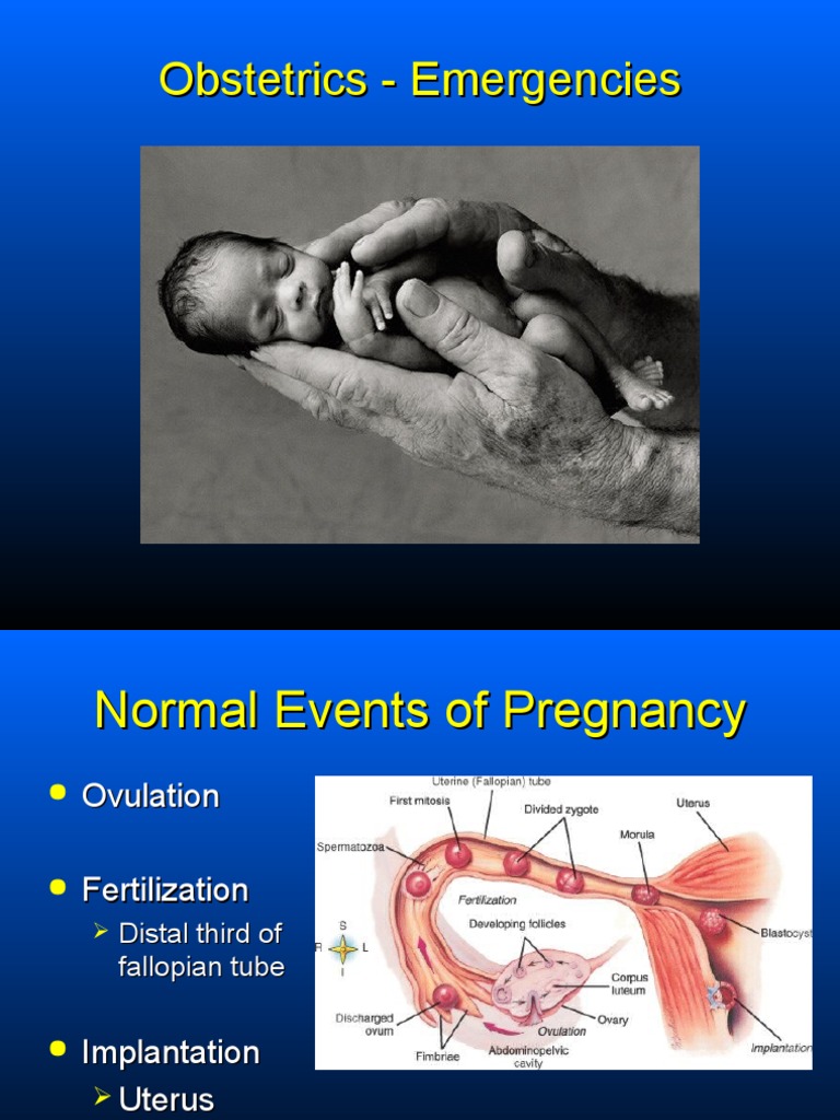 OB/GYN For EMS Providers | PDF | Childbirth | Pregnancy