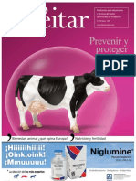 Prevenir y Proteger PDF