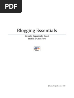 Blogging Essentials: Steps To Organically Boost Traffic & Cash Flow