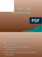 Invertebrates Spr 2009