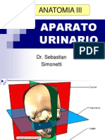 APARATO_URINARIO