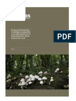 FP8 PDF