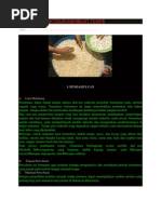 Download Laporan Praktikum Membuat Tempe by Saepul Malik SN129851873 doc pdf