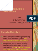 K - 1 & K - 2 Formatio Reticularis & Sistem Limbik (Anatomi)