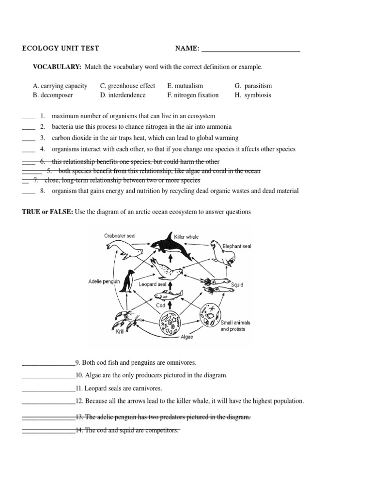 Tree Releases Oxygen and Humans Exhale Carbon Dioxide Diagram PDF