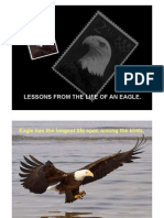 Lessions From Eagle