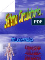 Sistema Circulatorio...