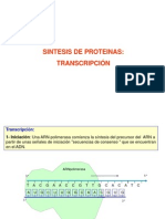 Clase 4 Sintesis Proteinas