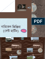 Bangla All Smaller
