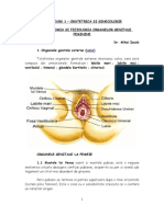 121322885 Anatomia Si Fiziologia Organelor Genitale Feminine