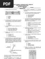 EVALUACIàN NEURONA1